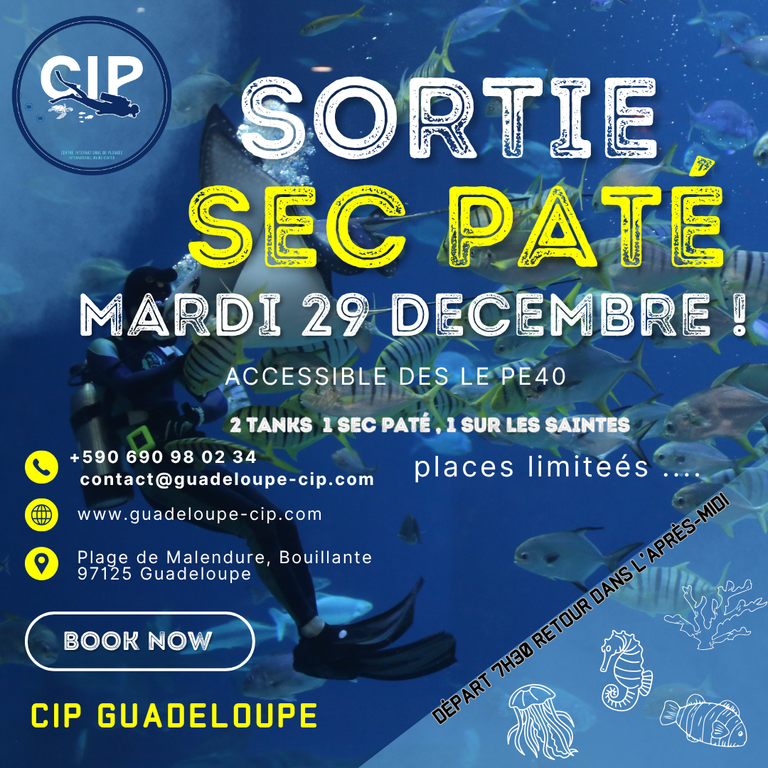SEC PATE: la plongée mythique !