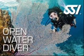 Open water divers